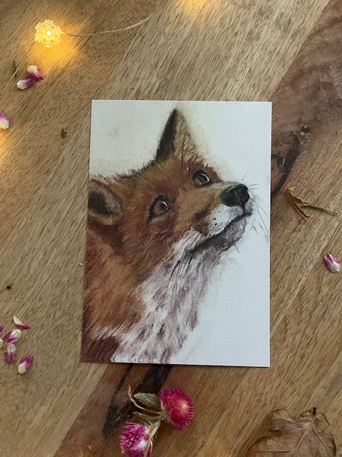 Haut dans le ciel, Renard (Vulpes vulpes)