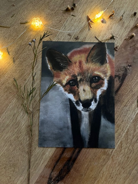 Dans tes yeux, Renard (Vulpes vulpes)
