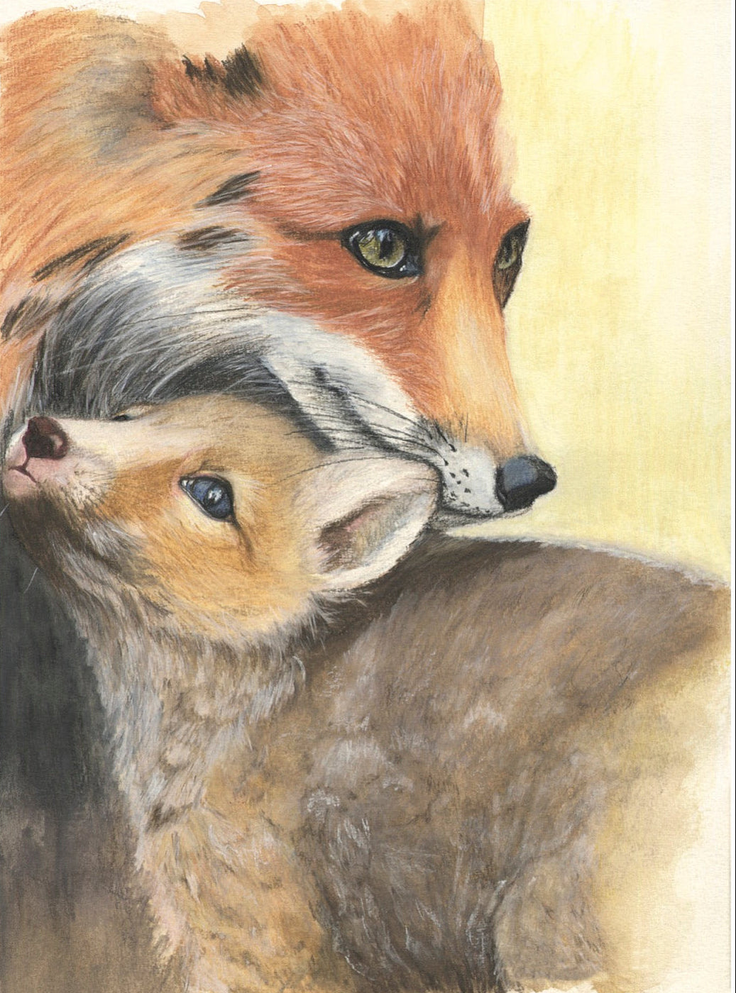 Maman Renarde et son renardeau (Vulpes vulpes)