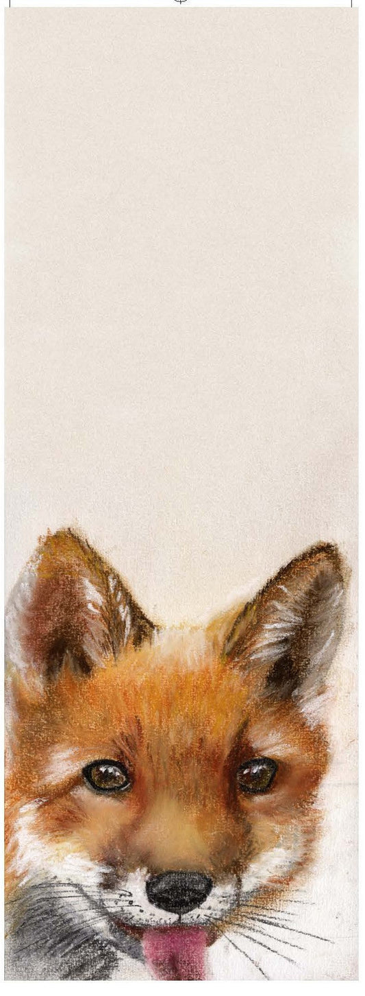 Slurpp, Renard (Vulpes vulpes)