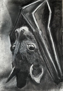 Une nuit d'été, Chauve-souris (Chiroptera)