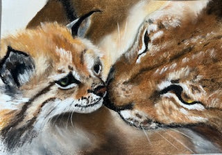 Amour, Lynx et son petit (Lynx lynx)