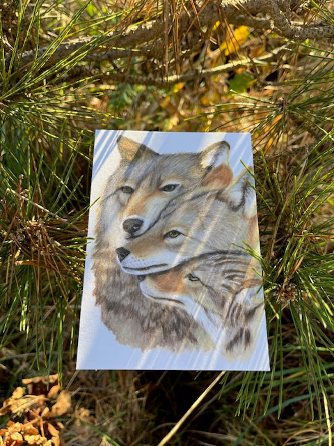 Tee shirt FEMME Une famille, LOUPS (Canis lupus)