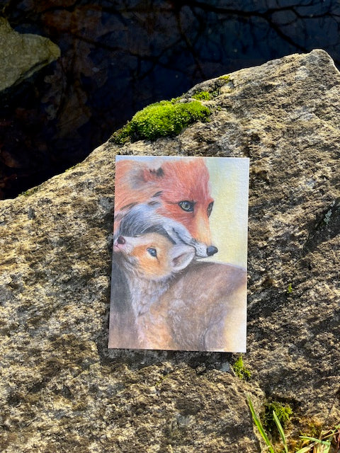 Maman Renarde et son renardeau (Vulpes vulpes)
