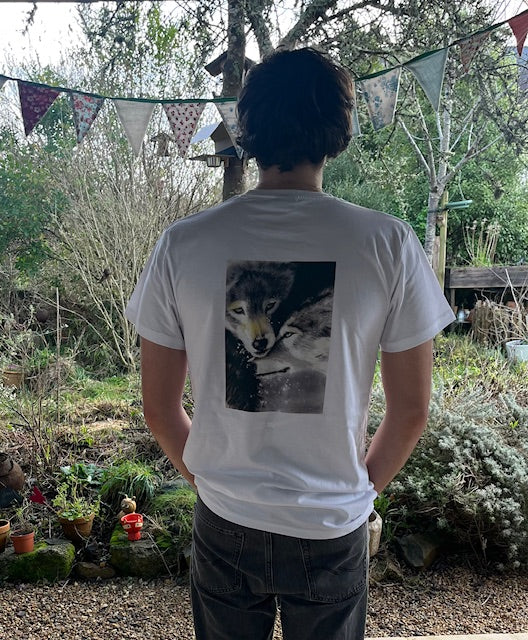 Tee shirt HOMME Un couple, Loups (Canis lupus)