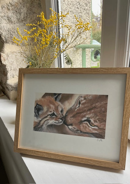 Tirage d'art Amour, Lynx et son petit (Lynx lynx)