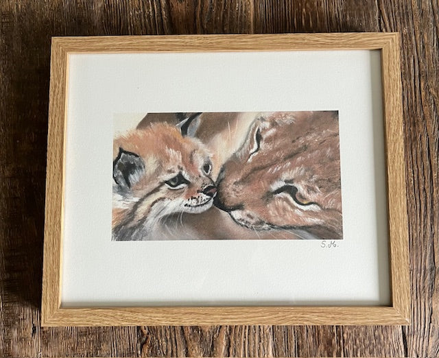 Tirage d'art Amour, Lynx et son petit (Lynx lynx)