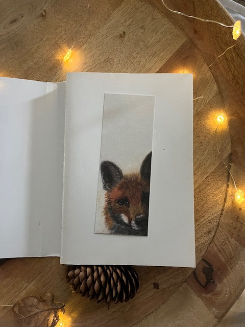 Je te vois, Renard (Vulpes vulpes)