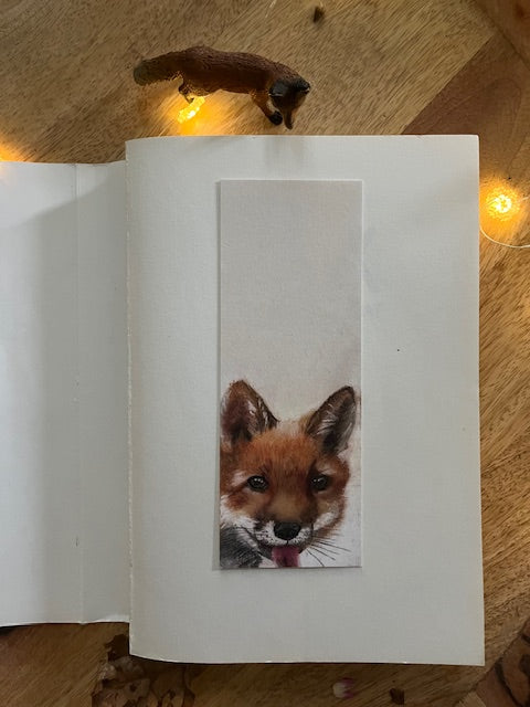 Slurpp, Renard (Vulpes vulpes)