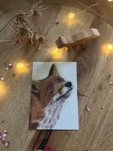 Haut dans le ciel, Renard (Vulpes vulpes)