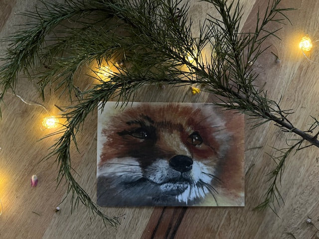 Pax, Renard ( Vulpes vulpes)