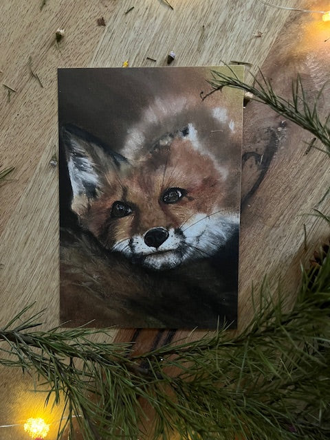 Moi aussi, Renard (Vulpes vulpes)