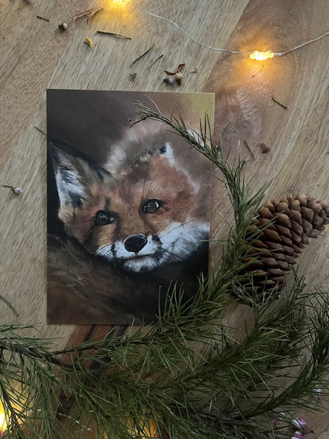 Moi aussi, Renard (Vulpes vulpes)