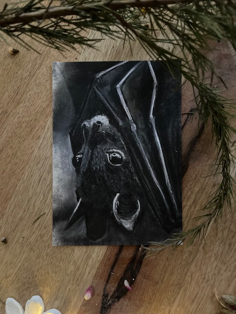 Une nuit d'été, Chauve-souris (Chiroptera)