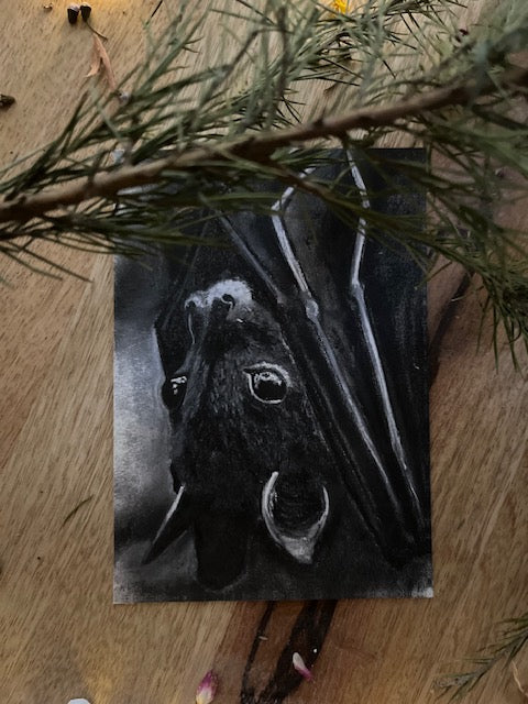 Une nuit d'été, Chauve-souris (Chiroptera)
