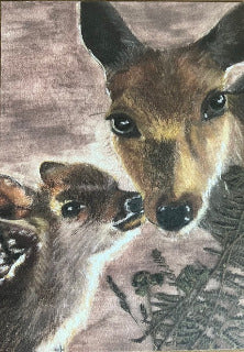 Maman Chevrette, Chevrette et son faon (Capreolus capreolus)