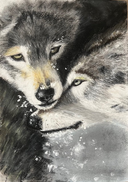 Un couple (Canis lupus)