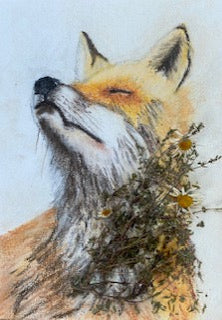 Sentir le soleil te réchauffer, Renard (Vulpes vulpes)