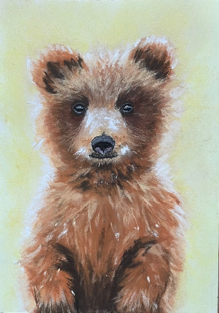Tee shirt ENFANT Petit ours (Ursus Arctos)