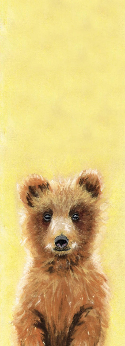 Petit Ours (Ursus Arctos)