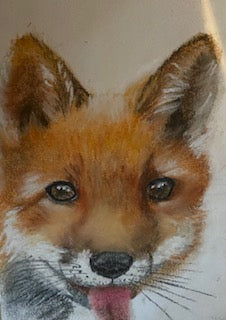 Tee shirt ENFANT SLURPP, Renard (Vulpes vulpes)