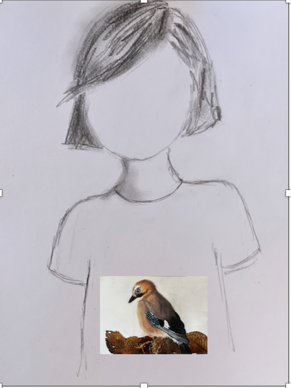 Tee shirt FEMME Des forêts de Chênes, Geai des chênes (Garrulus glandarius)
