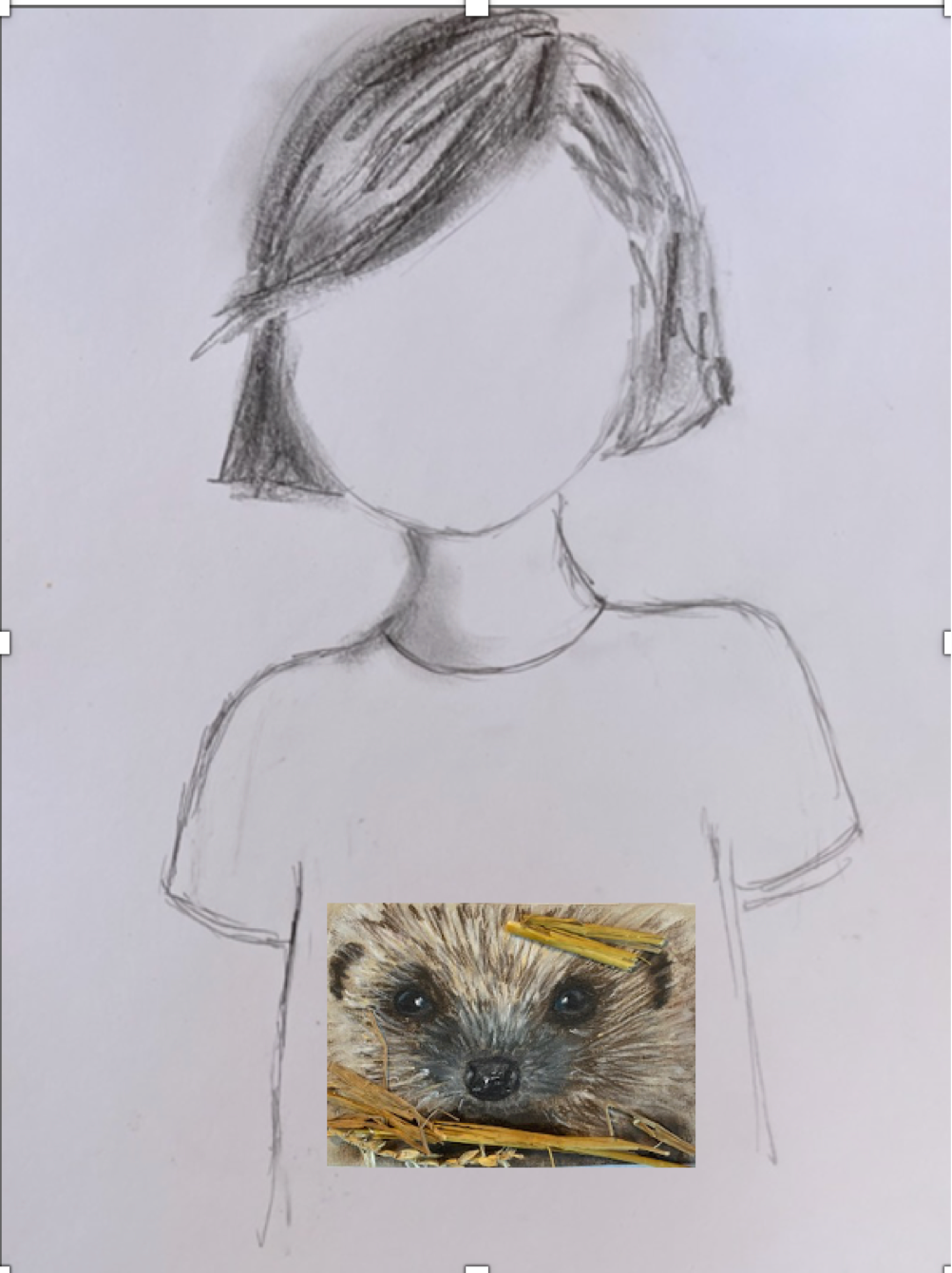 Tee shirt FEMME Petit bouille, Hérisson (Erinaceus europaeus)