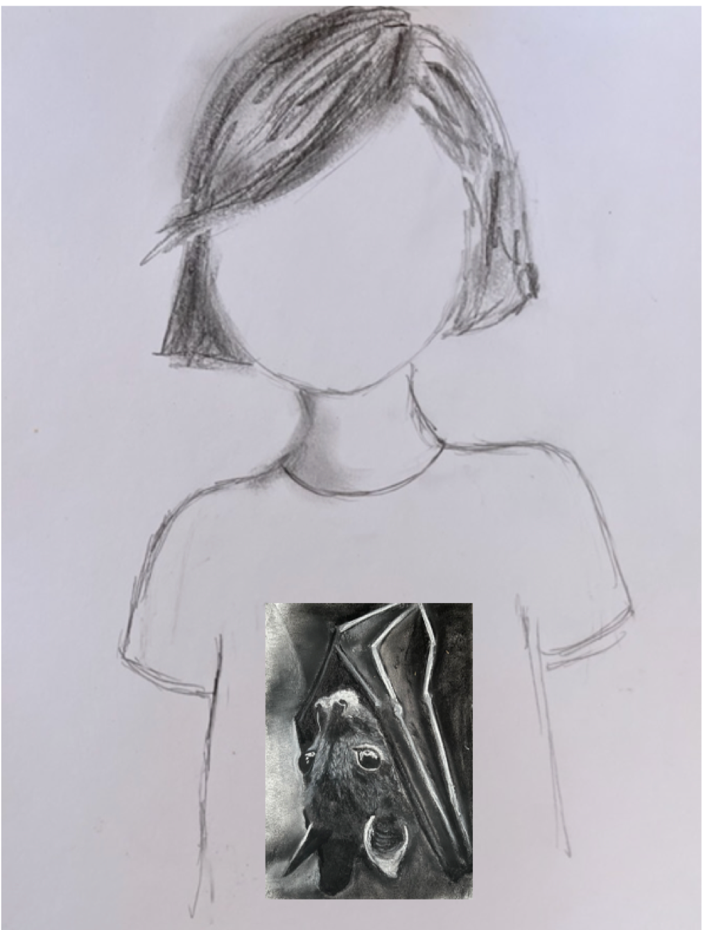Tee shirt FEMME Une nuit d'été, Chauve-souris (Chiroptera)