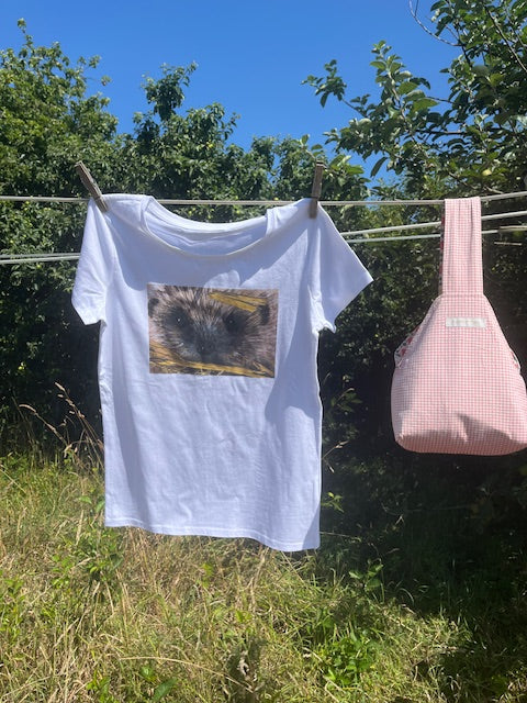 Tee shirt FEMME Petit bouille, Hérisson (Erinaceus europaeus)