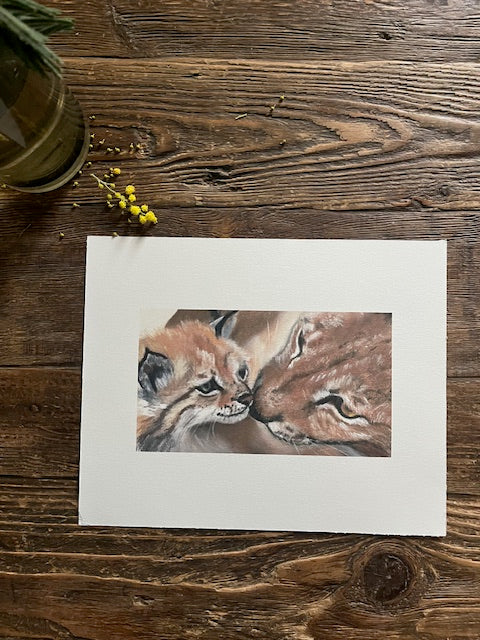 Tirage d'art Amour, Lynx et son petit (Lynx lynx)