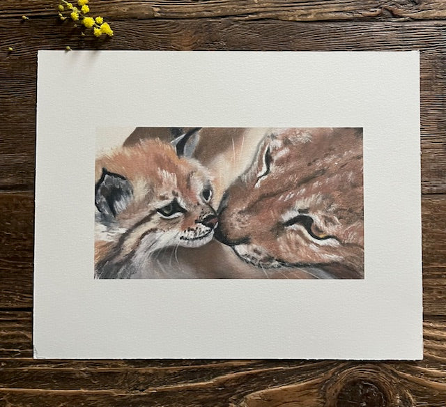 Tirage d'art Amour, Lynx et son petit (Lynx lynx)